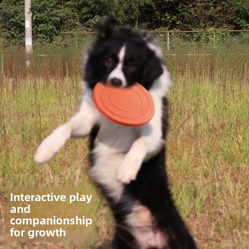 Odporna na ugryzienia, pływają – Flying Disc Dog Training Toy recenzja i cena