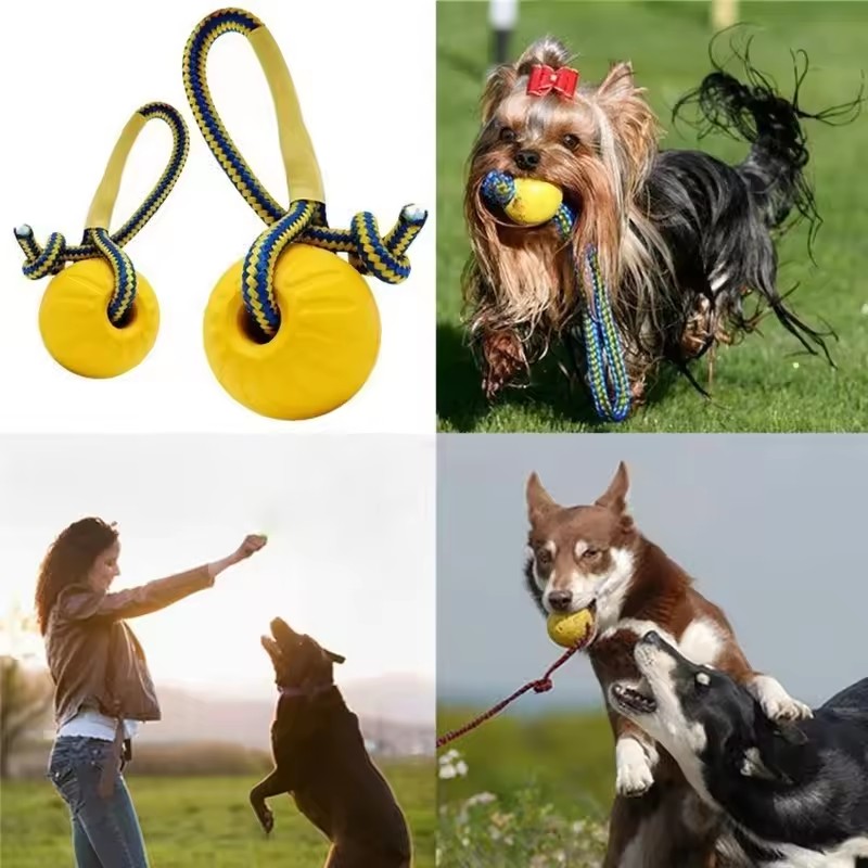 1 szt. Niezniszczalna guma do  – Indestructible Dog Chew Toy recenzja i cena