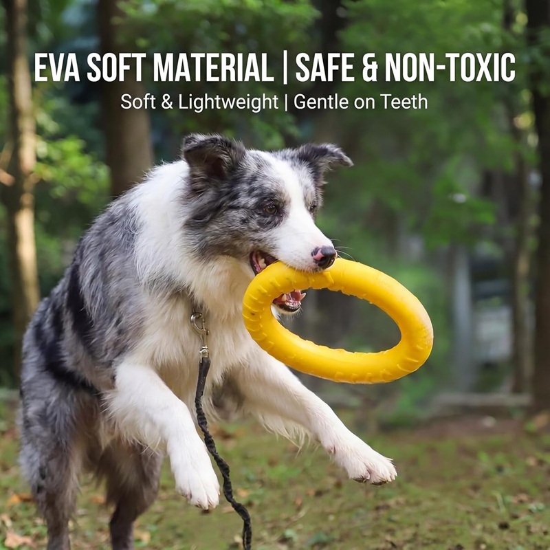 Zabawki dla psów, latające dys – Suction Cup Dog Tug Toy recenzja i cena