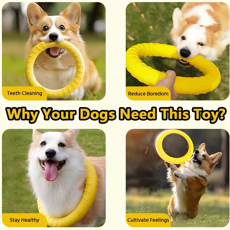 Zabawki dla psów, latające dys – Suction Cup Dog Tug Toy recenzja i cena