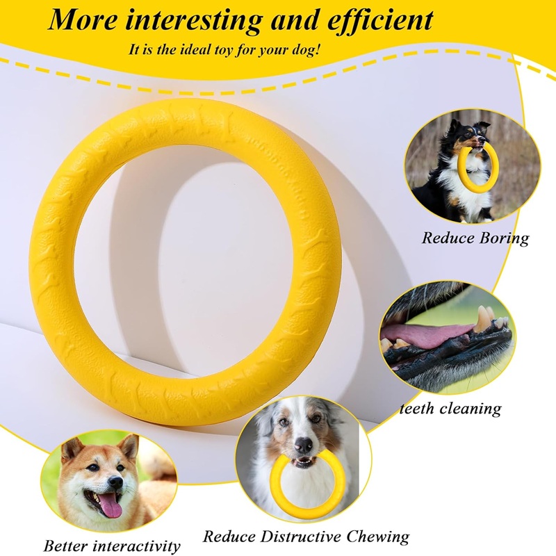 Zabawki dla psów, latające dys – Suction Cup Dog Tug Toy recenzja i cena