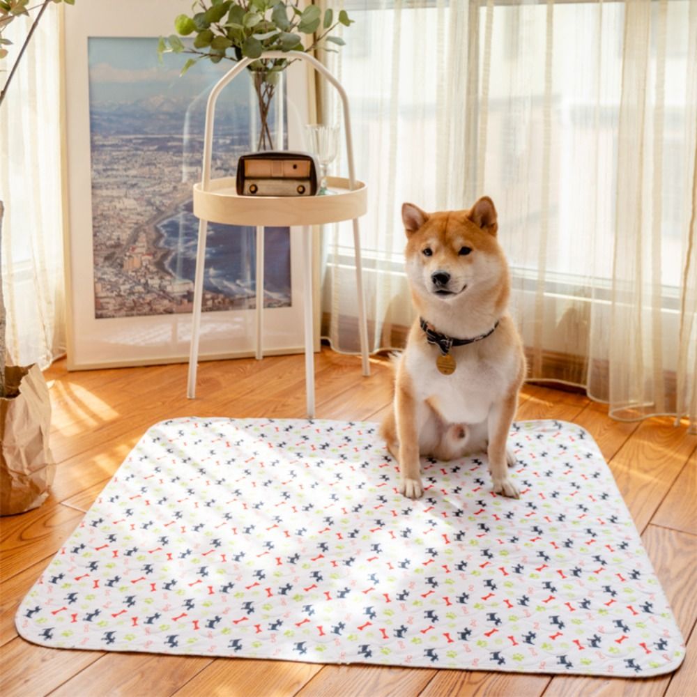 Wytrzymała, super chłonna mata – Pet Beds recenzja i cena