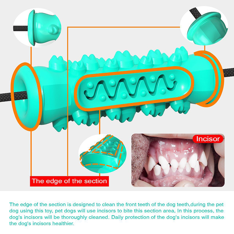 Zabawka dla psa z podwójną prz – Suction Cup Dog Tug Toy recenzja i cena