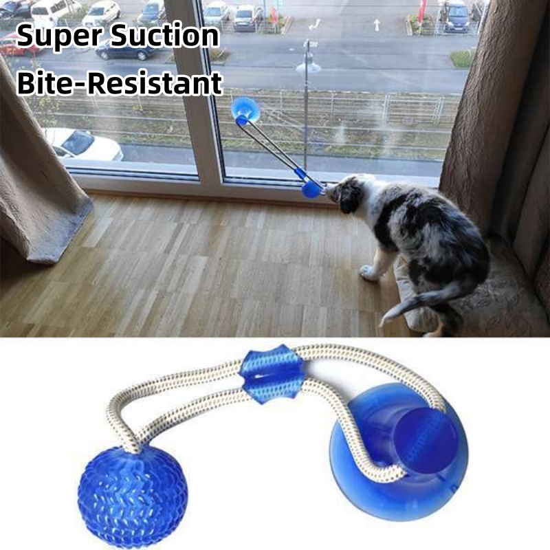 Wytrzymała zabawka dla psa z p – Suction Cup Dog Tug Toy recenzja i cena