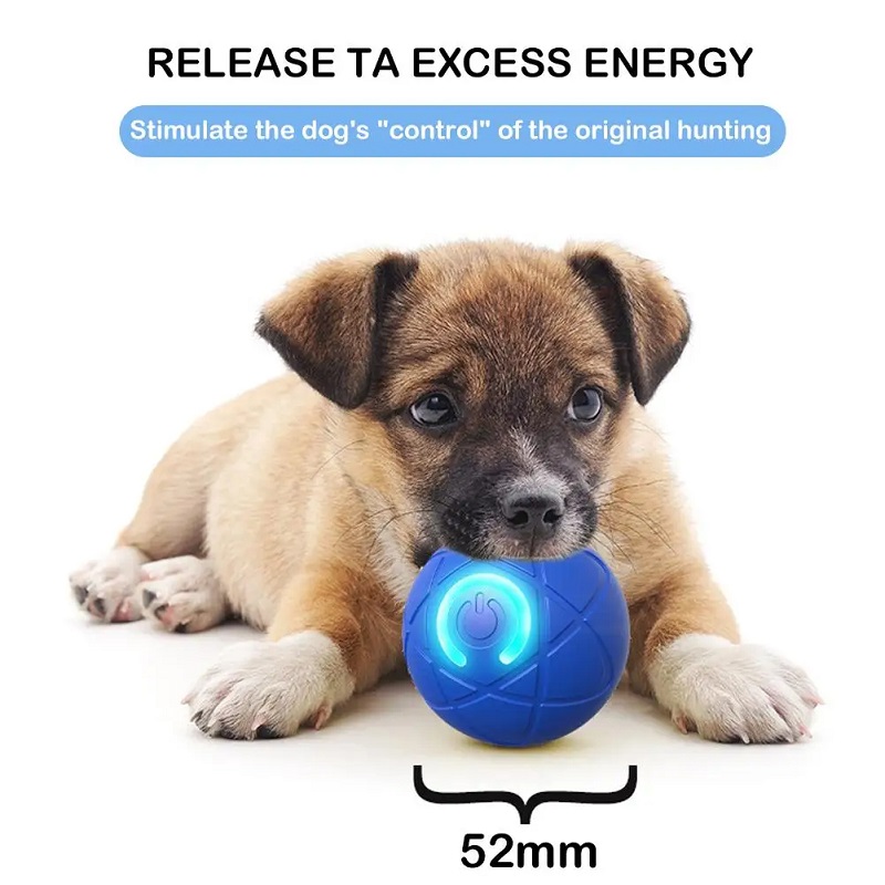 Piłka Interaktywna dla Psa Sam – Suction Cup Dog Tug Toy recenzja i cena