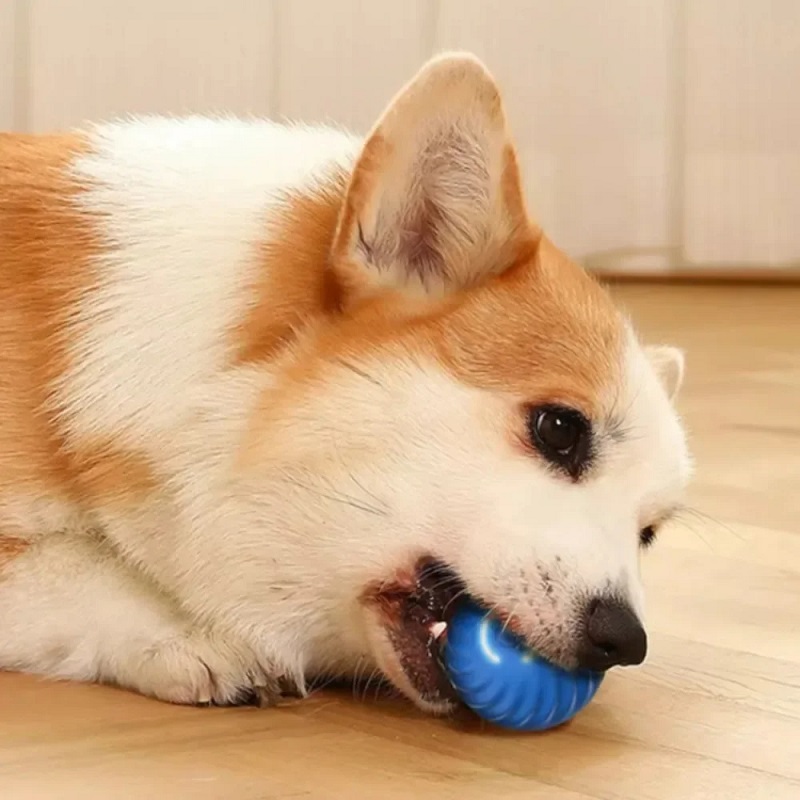 Automatyczna, ruchoma piłka dl – Automatic Moving Dog Ball recenzja i cena