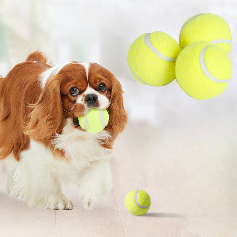 Interaktywna gumowa zabawka do – Interactive Squeaky Plush Dog Toy recenzja i cena