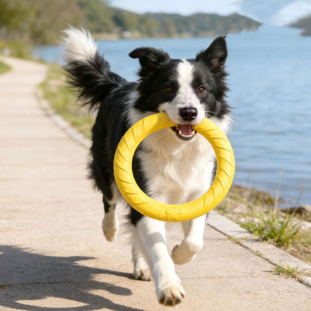 Zabawki dla psów w formie pier – Interactive Squeaky Plush Dog Toy recenzja i cena