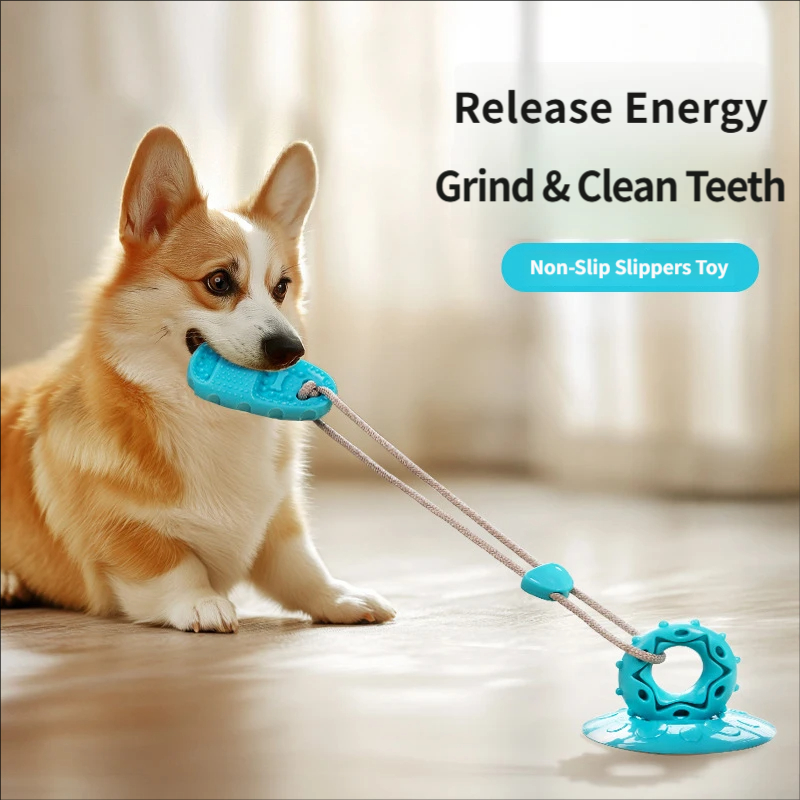 Zabawka dla psa z przyssawką,  – Suction Cup Dog Tug Toy recenzja i cena