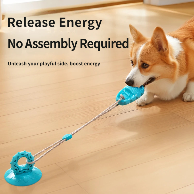 Zabawka dla psa z przyssawką,  – Suction Cup Dog Tug Toy recenzja i cena