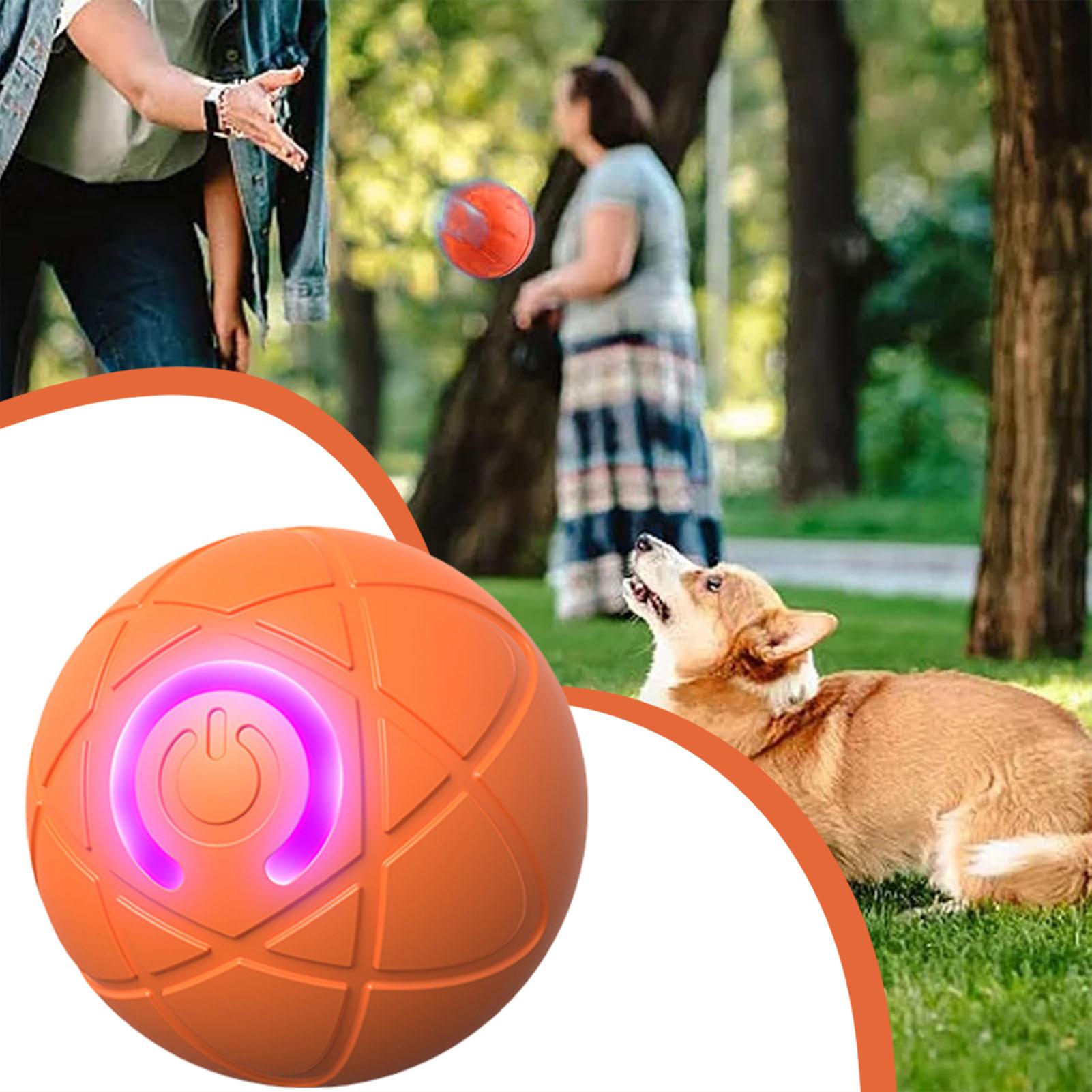 Piłka dla psa, interaktywna, s – Automatic Moving Dog Ball recenzja i cena