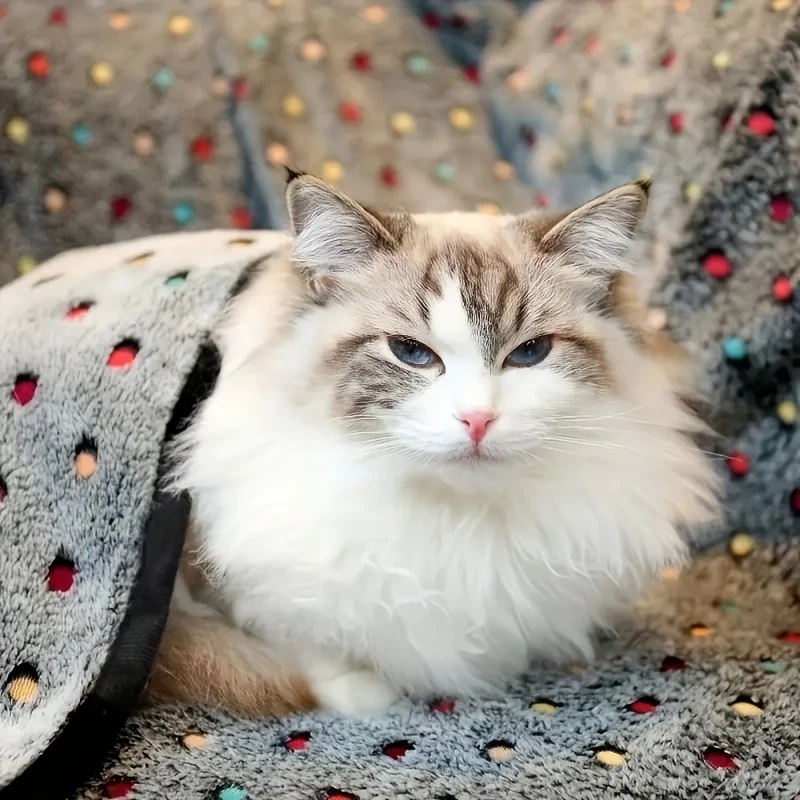 3 SZTUKI Miękki Puszysty Koc d – Pet Beds recenzja i cena