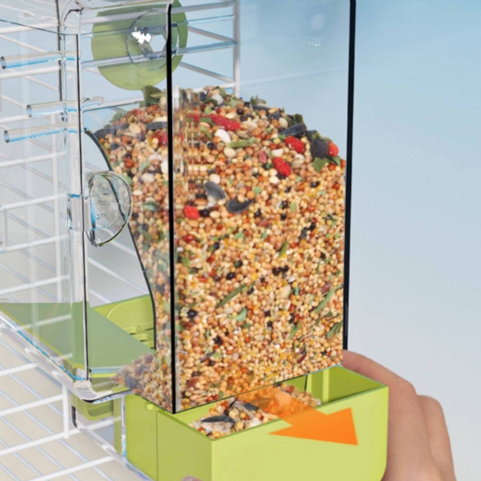 Podajnik do oddzielania nasion – Pet Feeders recenzja i cena