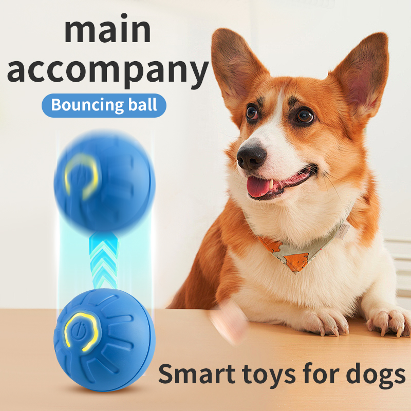 Automatyczna, ruchoma zabawka  – Automatic Moving Dog Ball recenzja i cena