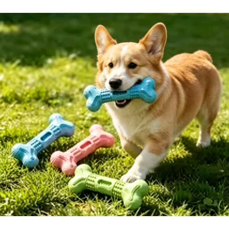 Nowy, wytrzymały zestaw zabawe – Teeth Cleaning Dog Chew Bone recenzja i cena