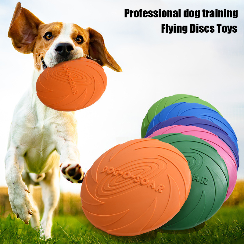 Duży pies, złoty futrzasty pie – Flying Disc Dog Training Toy recenzja i cena