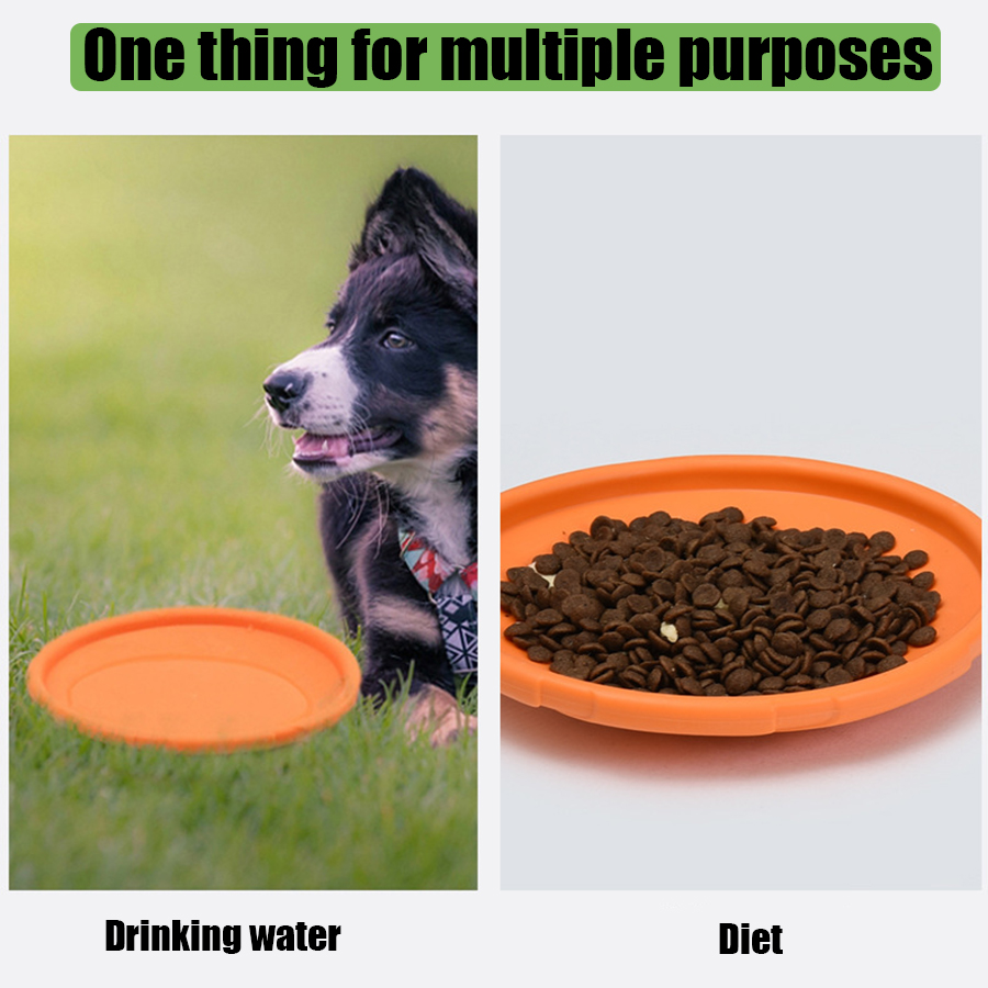 Duży pies, złoty futrzasty pie – Flying Disc Dog Training Toy recenzja i cena